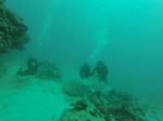 Hawaii Scuba divng 43