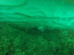 Hawaii Scuba divng 49