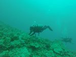 Hawaii Scuba divng 63