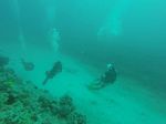 Hawaii Scuba divng 68