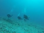 Hawaii Scuba divng 74