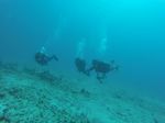 Hawaii Scuba divng 75