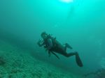 Hawaii Scuba divng 77