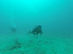 Hawaii Scuba divng 79