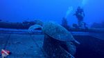 Oahu Scuba 17