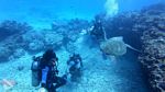 Oahu Scuba 59