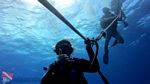 Oahu Scuba 08