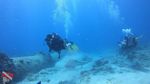 Waikiki scuba 13