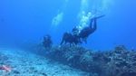 Oahu scuba 20