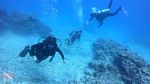 Oahu scuba 33