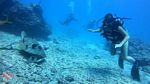 Honolulu scuba 56