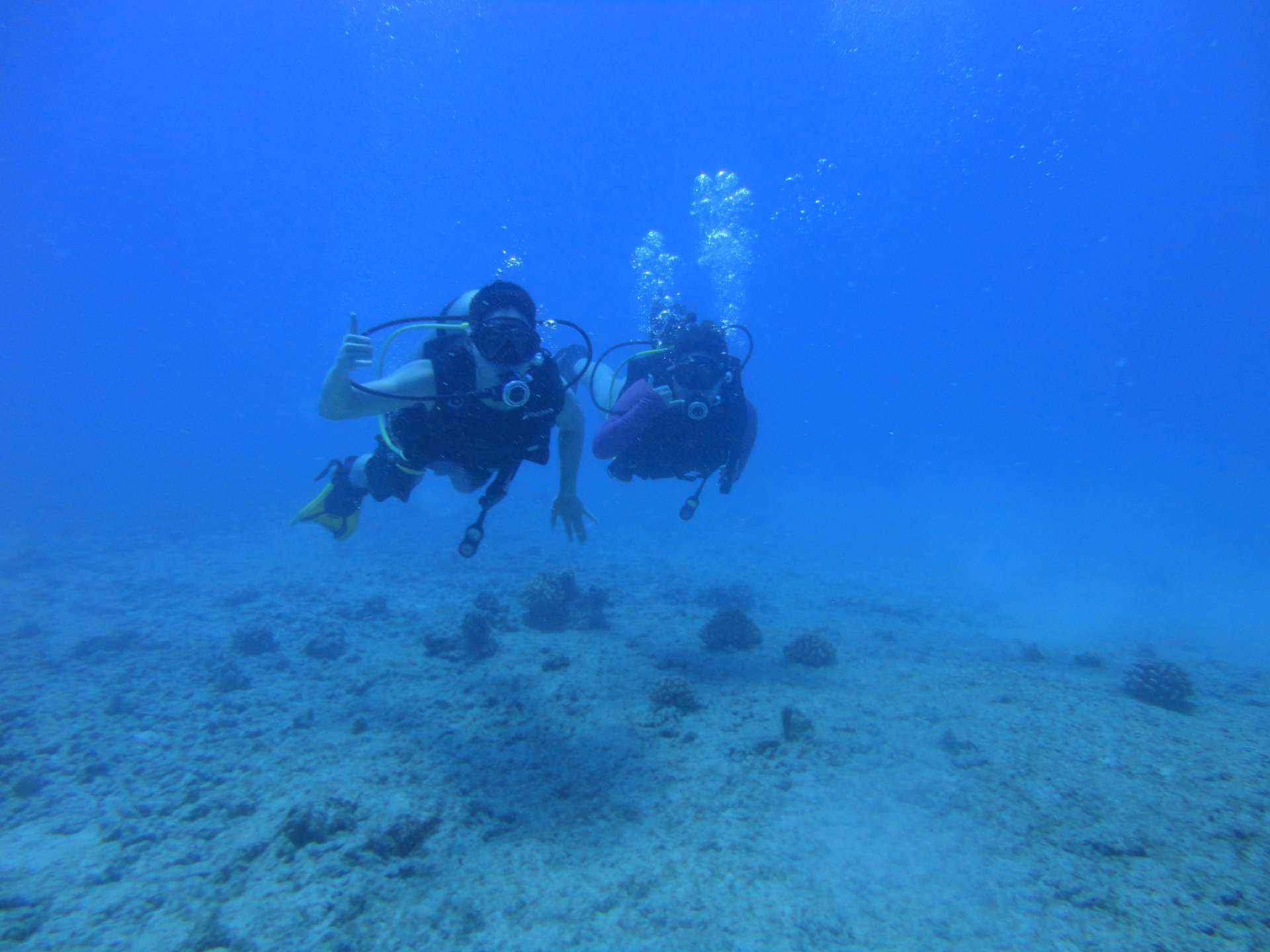 Oahu scuba - 10-07-2018