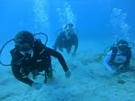 Hawaii Scuba divng 16