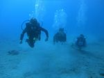 Hawaii Scuba divng 17