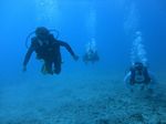 Hawaii Scuba divng 18
