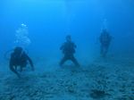 Hawaii Scuba divng 19