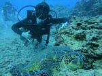 Hawaii Scuba divng 23