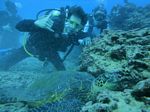 Hawaii Scuba divng 25