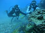 Hawaii Scuba divng 26