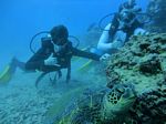 Hawaii Scuba divng 27