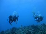 Hawaii Scuba divng 29