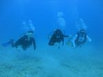 Hawaii Scuba divng 31