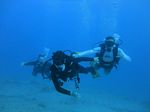 Hawaii Scuba divng 33