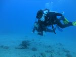 Hawaii Scuba divng 34