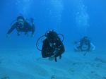 Hawaii Scuba divng 36