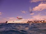 Hawaii Scuba divng 03
