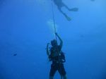 Hawaii Scuba divng 07