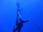 Hawaii Scuba divng 10