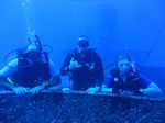 Hawaii Scuba divng 11