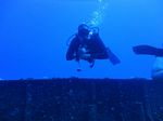 Hawaii Scuba divng 12