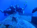 Hawaii Scuba divng 26