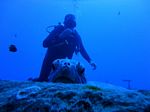 Hawaii Scuba divng 27