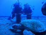 Hawaii Scuba divng 34