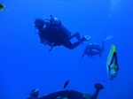 Hawaii Scuba divng 41