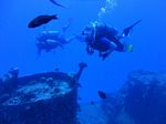 Hawaii Scuba divng 42