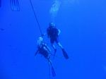 Hawaii Scuba divng 44