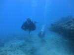 Hawaii Scuba divng 52