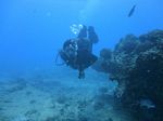 Hawaii Scuba divng 54