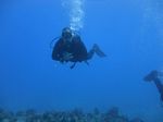 Hawaii Scuba divng 56