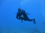 Hawaii Scuba divng 58