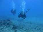 Hawaii Scuba divng 59