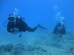 Hawaii Scuba divng 60