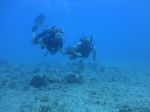 Hawaii Scuba divng 61