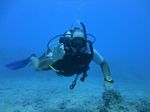 Hawaii Scuba divng 63