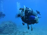 Hawaii Scuba divng 64