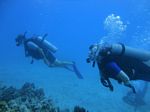 Hawaii Scuba divng 66